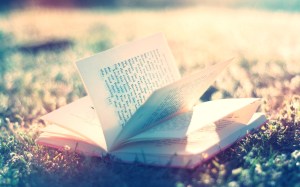 Libro abierto en el suelo-487073