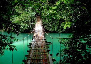 Bridge in Monteverde
